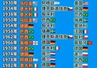 南美洲世界杯排名？南美洲世界杯几个名额？