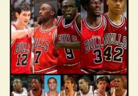 nba公牛的英文，公牛英文翻译？
