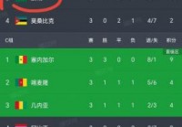2020年南非世界杯名次表，南非世界杯南非成绩？