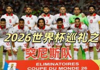 世界杯实力排名丹麦突尼斯？世界杯实力排名丹麦突尼斯球员？